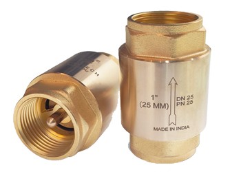 Brass spring check valve 